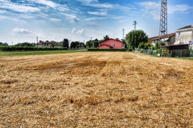 Terreno Residenziale - Cavarzere . Rif.: C0129VRG - Foto 3