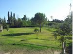 Appartamento in vendita a Terricciola 46 mq  Rif: 1453054