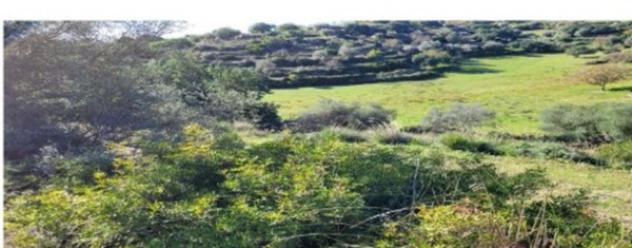 Immobile in asta di 51620 m² in vendita a Ragusa - Foto 4
