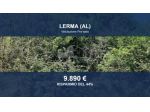 Immobile in asta di 19800 m² in vendita a Lerma