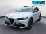 ALFA ROMEO Stelvio 2.2 Turbodiesel 210 CV AT8 Q4 Competizione rif. 23750713