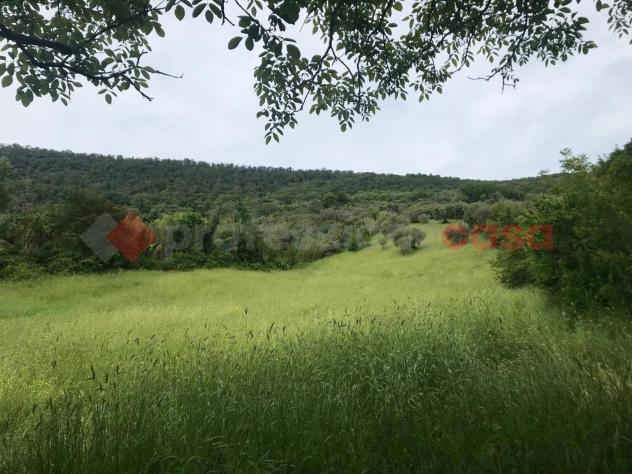 Terreno Agricolo - Tivoli . Rif.: Cod. rif 3234108ARG