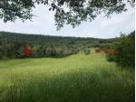 Terreno Agricolo - Tivoli . Rif.: Cod. rif 3234108ARG