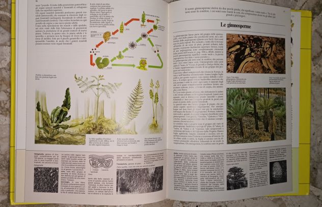 Il mondo Vivente - Foto 3