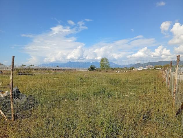Agricolo in Via Abate Gian Francesco Conforti - Foto 2