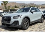 Audi Q2 Business 2.0 TDI 116CV S-Tronic 30