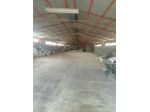 Immobile di 1000 m² in vendita a Soliera