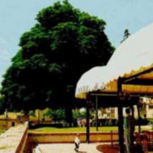 Il Castagno Albergo Ristorante Pizzeria