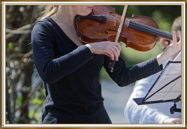 Violinista Alessandria e Tortona