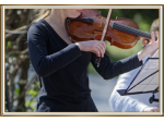 Violinista Alessandria e Tortona
