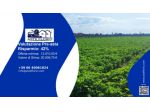 Immobile in asta di 3790 m² in vendita a Capaccio Paestum