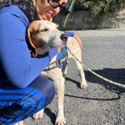 Newton il segugio con le lentiggini, adora le carezze, cane in adozione - Foto 9