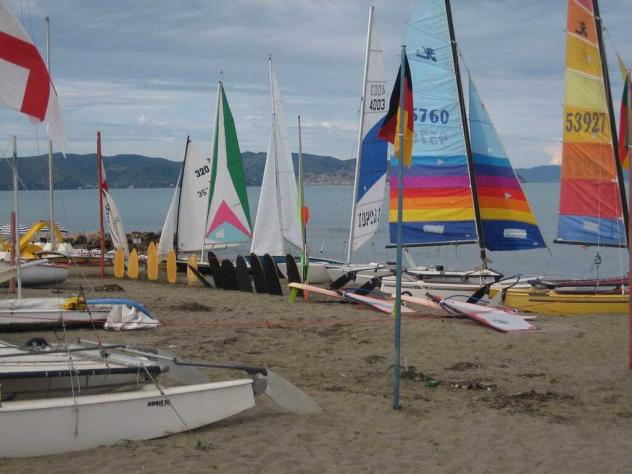 Fiori e Piante in vendita a Orbetello - Foto 2