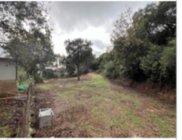 Immobile in asta di 12896 m² in vendita a Ispani - Foto 13