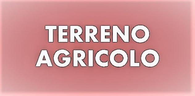 Terreno agricolo in vendita a Ronchi - Massa 2380 mq Rif: 1023226