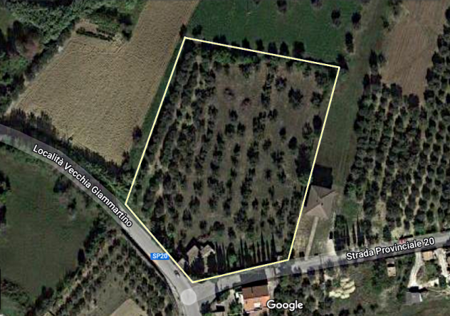 Roseto degli Abruzzi rustico e terreno edificabile
