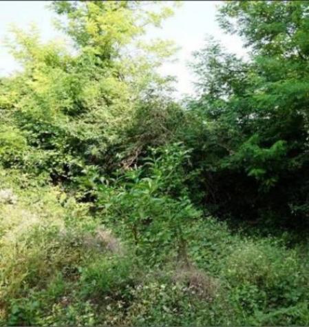 Immobile in asta di 40247 m² in vendita a Sovizzo - Foto 13