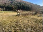 Terreno edificabile in vendita a Tregnago