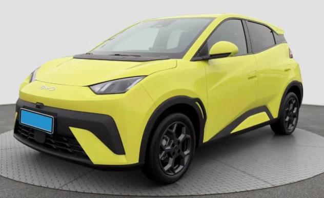 BYD DOLPHIN SURF BOOST 88cv Batteria 43.2kwh