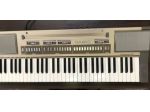 Tastiera vintage CASIOTONE  610