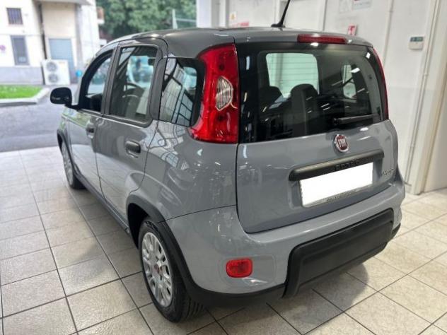FIAT Panda 1.0 FireFly S&S Hybrid rif. 23920458 - Foto 3