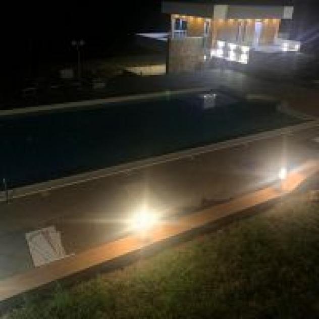 Az. Agr. Valle degli Ulivi di Spitaleri Luigi - Foto 2