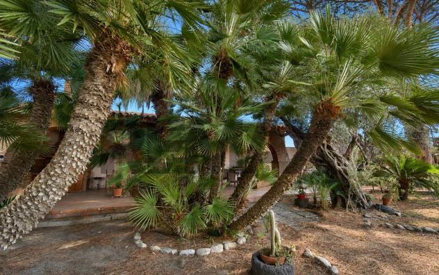Cascina/Casale in vendita a Messina, Castanea Massa Tono Ortoliuzzo - Foto 15