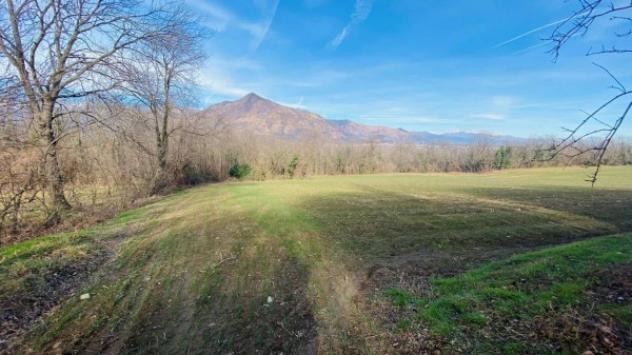 Immobile in asta di 19946 m² in vendita a Rosta - Foto 5