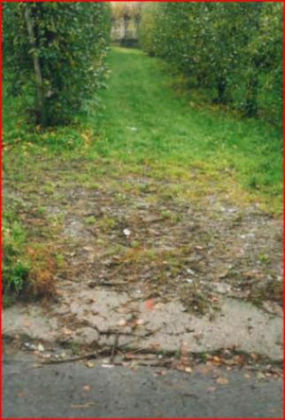 Immobile in asta di 4 m² in vendita a Teglio - Foto 3