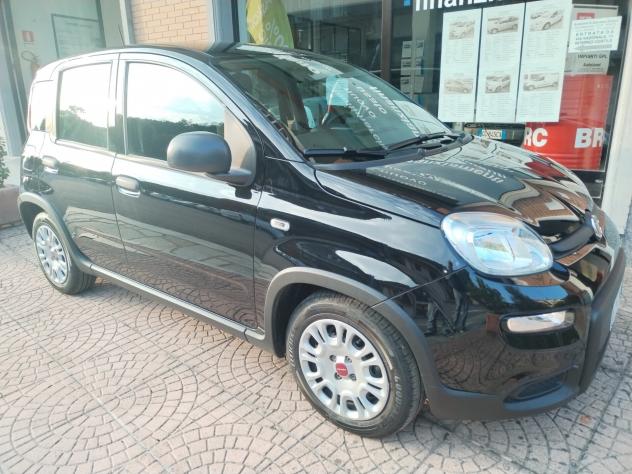 Fiat Panda 1.0 FireFly S&S Hybrid - Foto 4