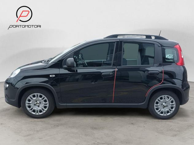 FIAT Panda 3ª serie 1.0 FireFly S&S Hybrid - Foto 2