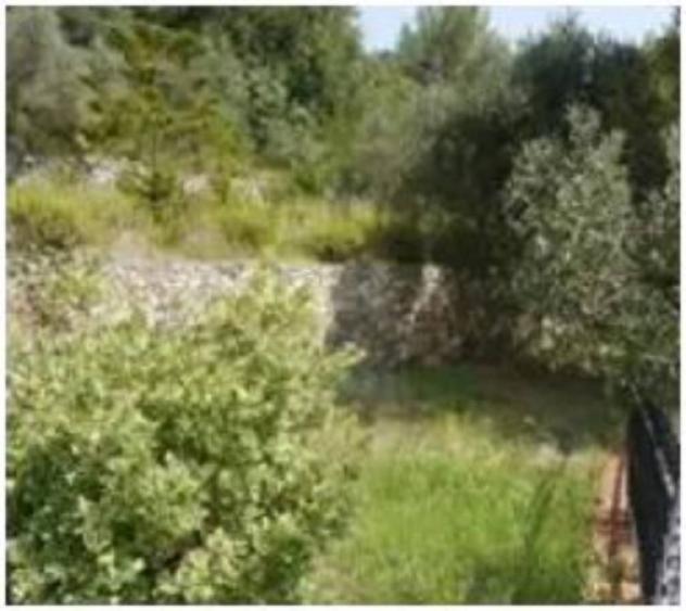 Immobile in asta di 132 m² in vendita a Pietra Ligure - Foto 10