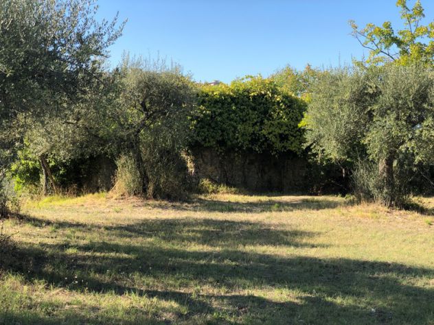 Roccadaspide loc.Cesine terreno con uliveto e ruderi - Foto 7