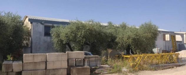 Immobile in asta di 457 m² in vendita a San Severo - Foto 5