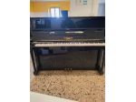 Pianoforte Zimmermann 115 tedesco con trasporto e panca inclusi