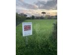TERRENO AGRICOLO di 2000 mq (PIETRASANTA) rif. 273/VEE