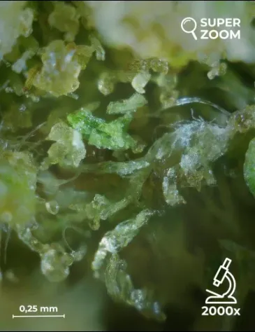 Ak-47 - Foto 5