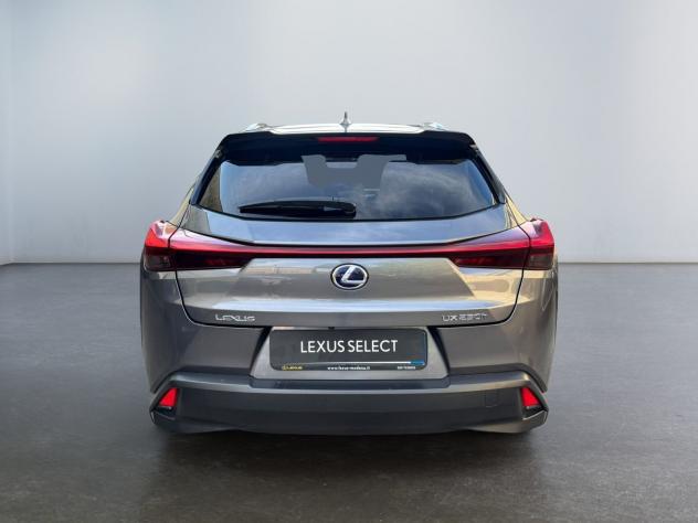 Lexus UX Hybrid Executive 2WD - Foto 6
