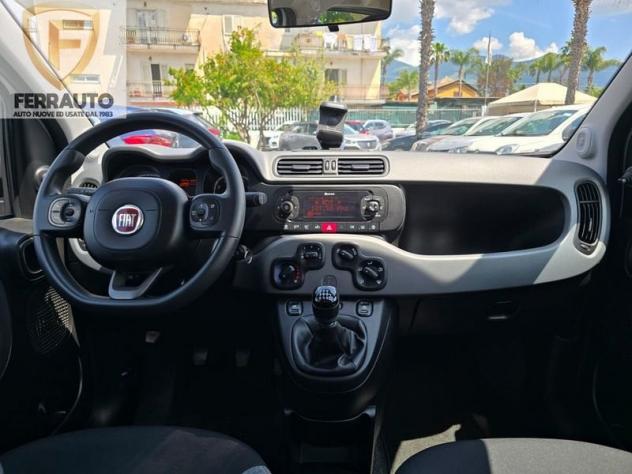 FIAT Panda 1.0 FireFly S&S Hybrid City Cross - Foto 10