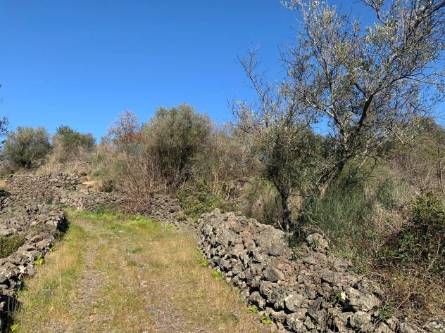Terreno Edificabile in vendita a Mascalucia - Foto 14
