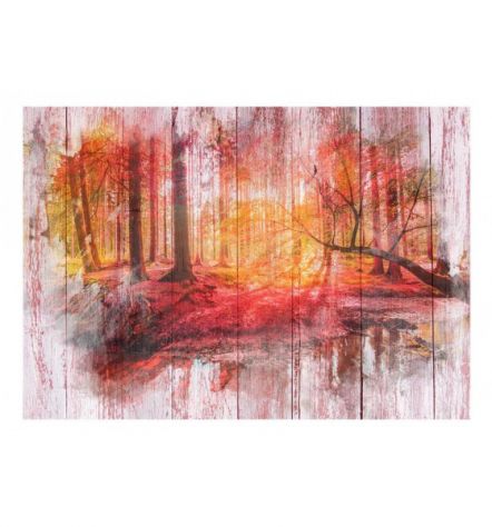Fotomurale Adesivo Nella Foresta Incantata Arredalacasa - Foto 2
