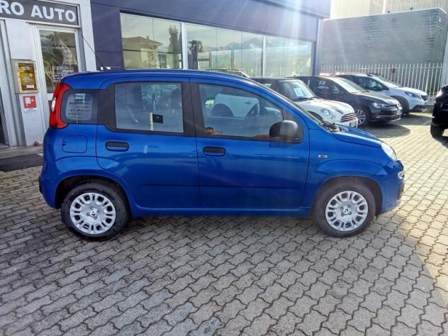FIAT Panda 3ª serie Panda 1.0 FireFly S&S Hybrid Pop - Foto 2