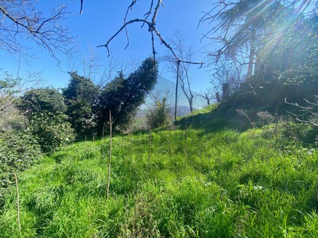 Terratetto in vendita a San Leo - Foto 3