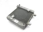 HONDA PANTHEON 150 RADIATORE ACQUA LIQUIDO RAFFREDDAMENTO MOTORE 2003