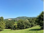 Bosco in vendita a Maiolo