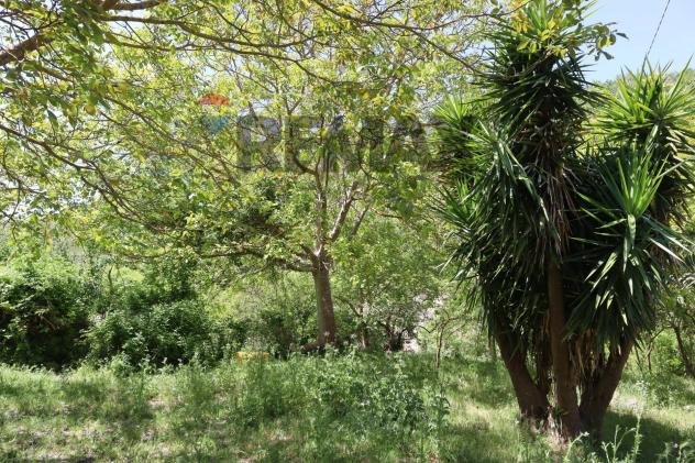 Terreno in vendita a Monterosso Almo - Foto 3