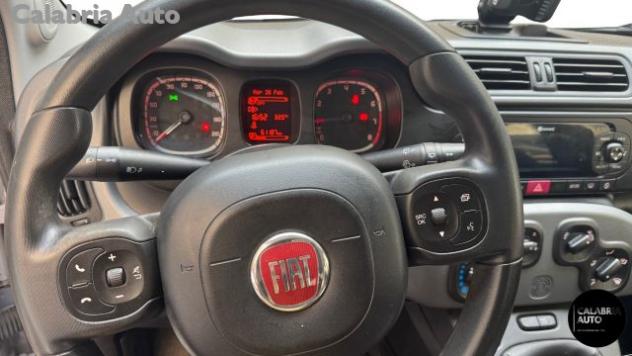 FIAT Panda 1.0 FireFly S&S Hybrid City Cross rif. 23811867 - Foto 6