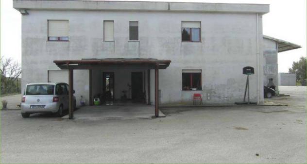 Immobile in asta di 1165 m² in vendita a Porto Torres - Foto 4