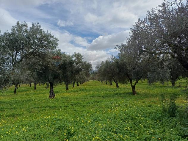 Villa singola in vendita a Chiaramonte Gulfi - Foto 8