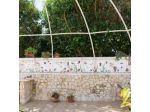 B&B Marchese